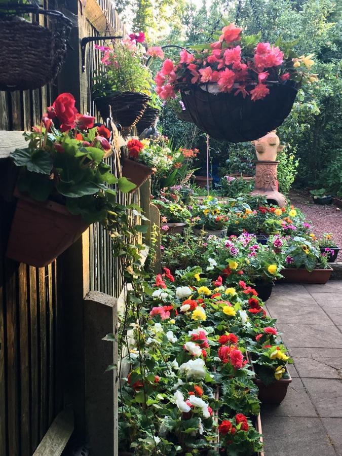 38 Whitehall Road Harrow on the Hill 외부 사진