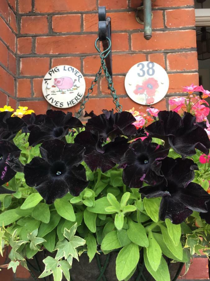 38 Whitehall Road Harrow on the Hill 외부 사진