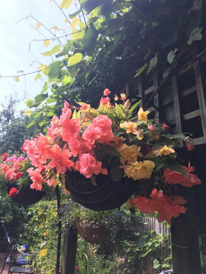 38 Whitehall Road Harrow on the Hill 외부 사진